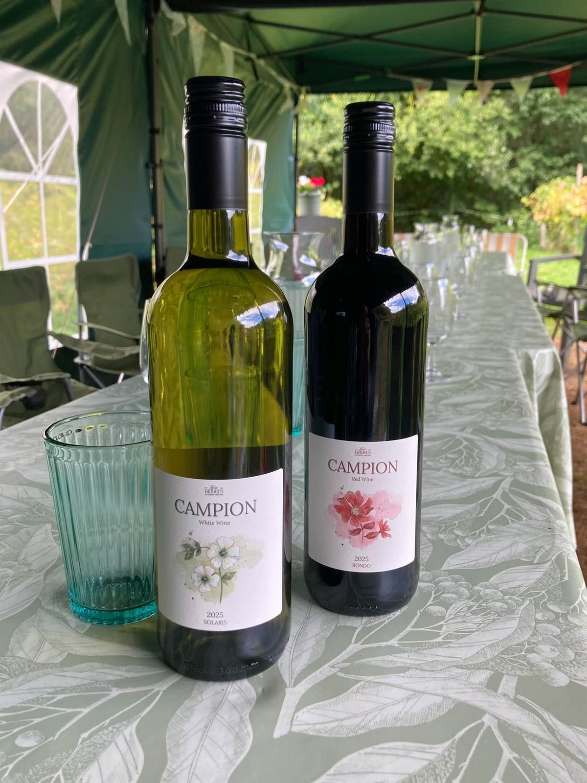 Bottles laid out for a tasting afternoon