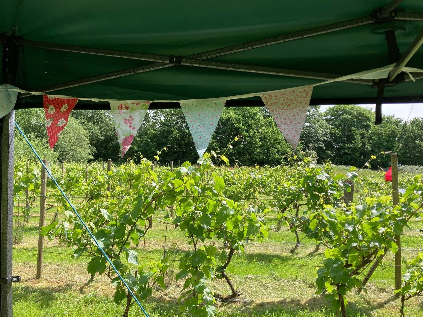 Bunting strung up for a tasting afternoon