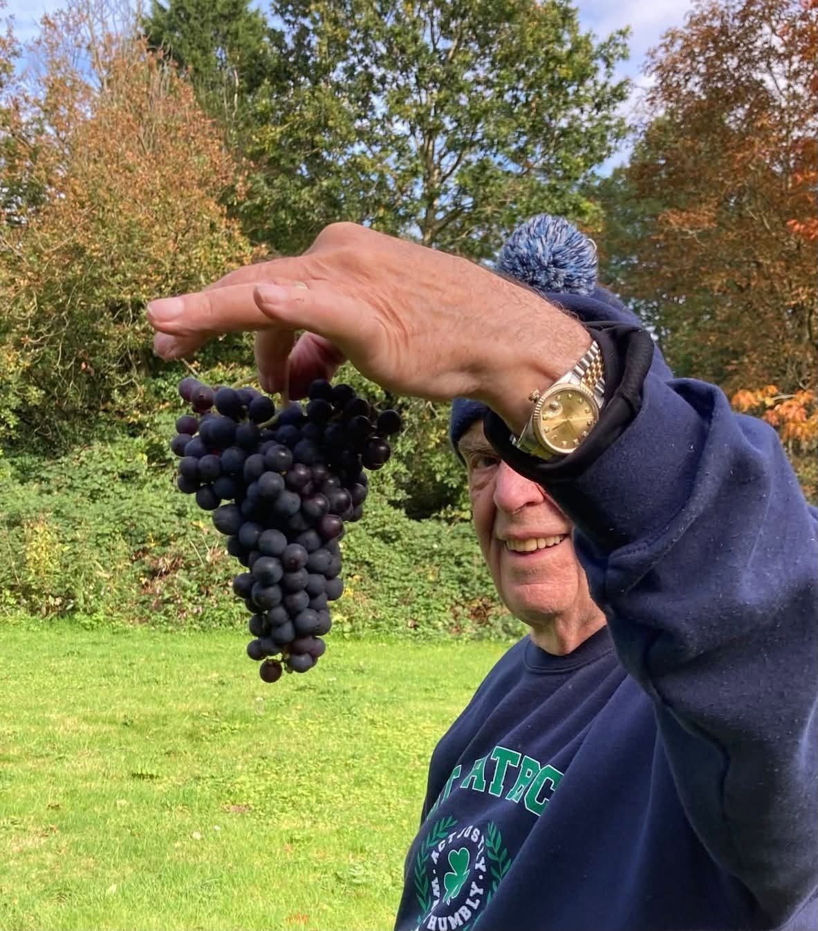 Gerry holding a bunch of freshly picked grapes at Two Bridges