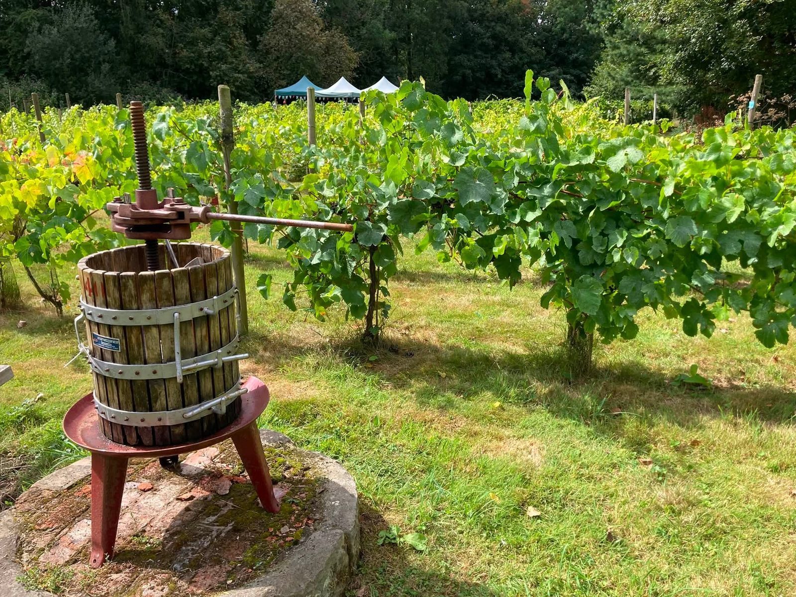 The vineyard's traditional wine press